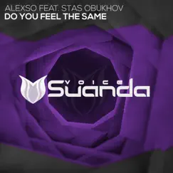 Do You Feel the Same (Extended Mix) [feat. Stas Obukhov] Song Lyrics