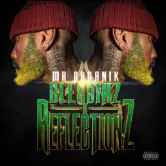 Blessinz N Reflectionz - Single by Mr.Organik album reviews, ratings, credits