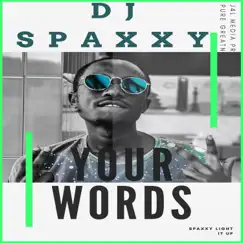 Light it Up by Dj Spaxxy album reviews, ratings, credits