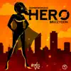 Hero (Superwoman) - Single album lyrics, reviews, download