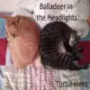 Turtle Hens album lyrics, reviews, download