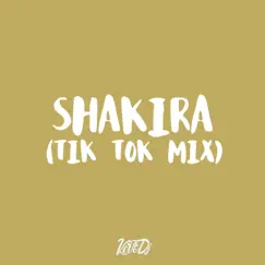 Shakira (Tik Tok Mix) Song Lyrics