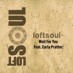 Dear Friend (feat. Lisa Millett) [Loftsoul 2013 Remix] Song Lyrics