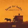 Love or Hate - Single album lyrics, reviews, download