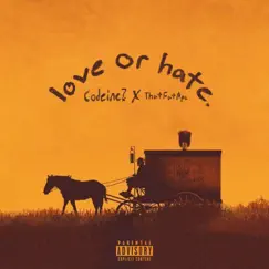 Love or Hate Song Lyrics