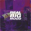 REAL BIG MOOD (feat. Godmode) - Single album lyrics, reviews, download