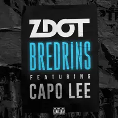 Bredrins (feat. Capo Lee) - Single by Zdot album reviews, ratings, credits