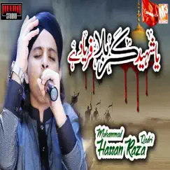 Ya Shaheede Karbala - Single by Muhammad Hassan Raza Qadri album reviews, ratings, credits