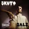 Salz - Single album lyrics, reviews, download