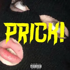 Prick - Single by Valleygawd album reviews, ratings, credits
