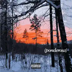 Ponderosa - Single by Archie Divine album reviews, ratings, credits