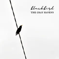 Blackbird - Single by The Gray Havens album reviews, ratings, credits