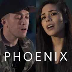 Phoenix (Acoustic) - Single by TJ BROWN & Lunity album reviews, ratings, credits