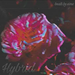 Hybrid - Single by BeatsBySims album reviews, ratings, credits