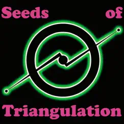 All This Time - Single by Seeds Of Triangulation album reviews, ratings, credits