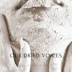 Our Dried Voices by Bees of the Invisible album reviews, ratings, credits