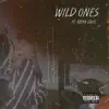 Wild Ones (feat. Bryan Ghee) - Single album lyrics, reviews, download