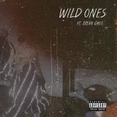 Wild Ones (feat. Bryan Ghee) - Single by Ondre Reese album reviews, ratings, credits