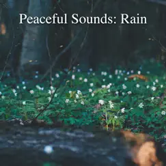 Peaceful Sounds: Rain by Rain Sounds & Rain for Deep Sleep album reviews, ratings, credits