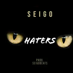 Haters - Single by Seigo album reviews, ratings, credits