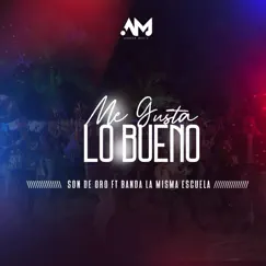 Me Gusta Lo Bueno (feat. Banda La Misma Escuela) - Single by Son de Oro album reviews, ratings, credits