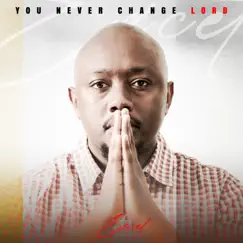 You Never Change Lord - Single by Excel album reviews, ratings, credits