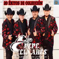 20 Éxitos De Colección by PEPE LINARES album reviews, ratings, credits