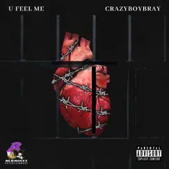 U Feel Me - Single by Crazyboybray album reviews, ratings, credits