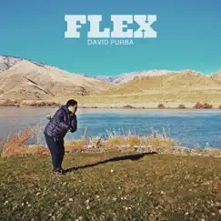 Flex - Single by David Purba album reviews, ratings, credits