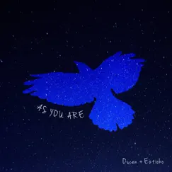 As You Are (feat. Ellen Shieh) Song Lyrics