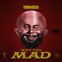 Why You Mad - Single by Yowda album reviews, ratings, credits