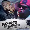 Faz Frio em São Paulo - Single album lyrics, reviews, download