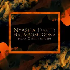 Haumbomugona - Single by Nyasha David album reviews, ratings, credits