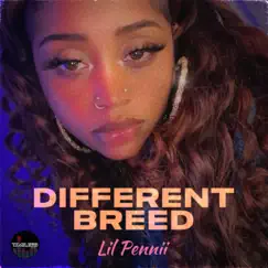 Different Breed - Single by Lil Pennii album reviews, ratings, credits