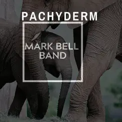 Pachyderm - Single by Mark Bell Solo Band album reviews, ratings, credits