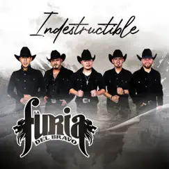 Indestructible - EP by La Furia del Bravo album reviews, ratings, credits
