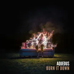 Burn It Down Song Lyrics