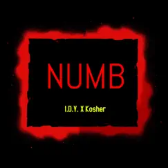 Numb (feat. Kosher) - Single by I.D.Y. album reviews, ratings, credits