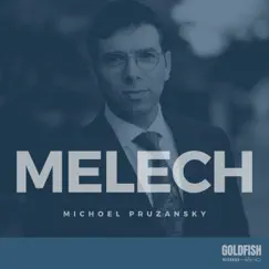 Melech - Single by Michoel Pruzansky album reviews, ratings, credits