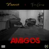 Amigos (feat. Tivi Gunz) - Single album lyrics, reviews, download