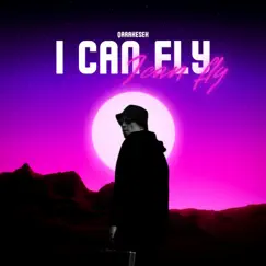I Can Fly - Single by QARAKESEK album reviews, ratings, credits