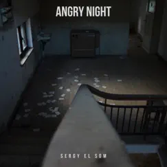 Angry Night - Single by Sergy el Som album reviews, ratings, credits