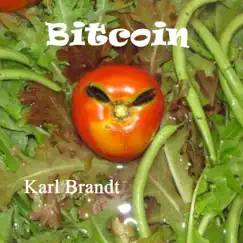 Bitcoin - Single by Karl Brandt album reviews, ratings, credits