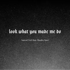 Look What You Made Me Do (feat. Shaolin Sam) Song Lyrics