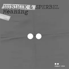Meaning - Single by Hubinek & Sperbel album reviews, ratings, credits
