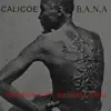 Bana - Single album lyrics, reviews, download
