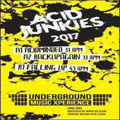 We Are Back - Single by Acid Junkies album reviews, ratings, credits