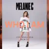 Who I Am (Joe Goddard Remix) - Single album lyrics, reviews, download