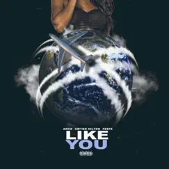 Like You (feat. Feefa & Gwynn Hilton) Song Lyrics