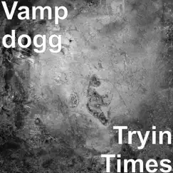 Tryin Times (feat. Nyke Nitti) - Single by Vamp Dogg album reviews, ratings, credits